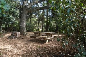 una mesa de picnic de madera en un parque con árboles en Agriturismo la Romanella, en Viterbo