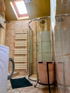 a bathroom with a shower and a toilet in it at Troglo Papillon in Luynes