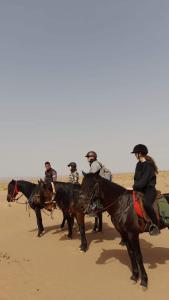 un grupo de gente montando caballos en el desierto en Bivouac Erg chegaga, en Zagora