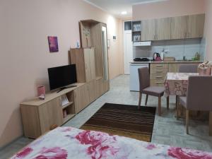 Η κουζίνα ή μικρή κουζίνα στο MIMA apartmani