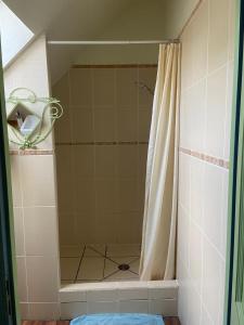 a shower with a shower curtain in a bathroom at Maison de campagne authentique et chaleureuse in Fougerolles