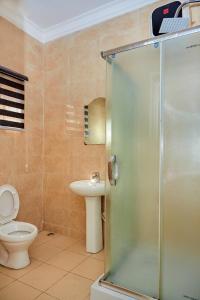 a bathroom with a shower and a toilet and a sink at Mainstream Shortlet Apartments in Gbogije