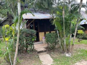 a house with a porch with palm trees in front of it at Blue stone in Pai