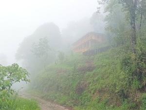een huis aan de zijkant van een heuvel in de mist bij KatuS premium cottages in Gangtok