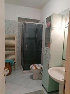 La salle de bains est pourvue d'une douche, de toilettes et d'un lavabo. dans l'établissement Nicoletta House, à Moncalieri