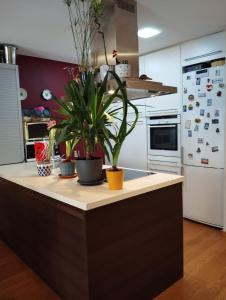 una cucina con piante in vaso sopra un bancone di Private Room romantic area a Sitges