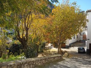 una strada con alberi e un muro di pietra di Casa Cris Cazorla Oldtown II a Cazorla