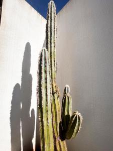 Imagen de la galería de Oro y Luz, en Rodalquilar