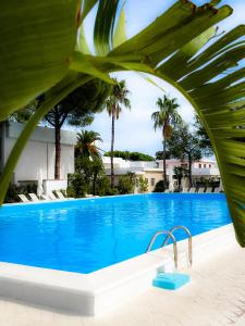 a large blue swimming pool with palm trees at Hotel Riva Del Sole in Giovinazzo