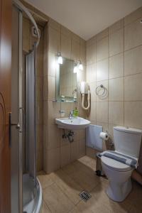 uma casa de banho com um WC, um lavatório e um chuveiro em Chrysiida Apartments Kalavrita em Kalavrita