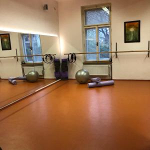 Fitnesscentret og/eller fitnessfaciliteterne på Na Mahlerce