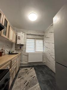 Il comprend une cuisine équipée d'un évier et d'un réfrigérateur. dans l'établissement Ideal Home Copou, à Iaşi