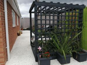 a black trellis with plants in pots next to a building at Self contained annexe in Kidderminster