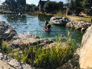 a young boy swimming in a pond with rocks at Chão do Rio - Turismo de Aldeia - Serra da Estrela in Seia