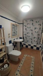 La salle de bains est pourvue de toilettes et d'un lavabo. dans l'établissement Apartamento El Faro, Sotavento, playa la tejíta, à La Tejita