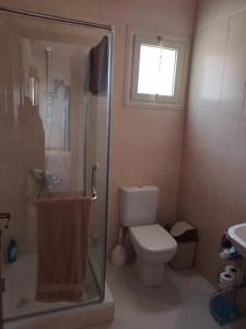 a bathroom with a shower and a toilet and a sink at f- ground floor with garden in Hurghada