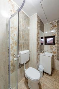 a bathroom with a toilet and a shower at Pensiunea Ioana in Poeni
