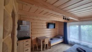 a room with a bed and a table in a cabin at Pod Gruszą in Dzianisz
