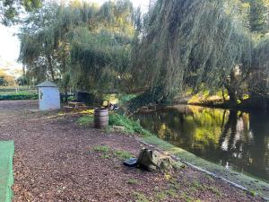 a river with a tree and a building next to it at Broadwalk7 in Coltishall