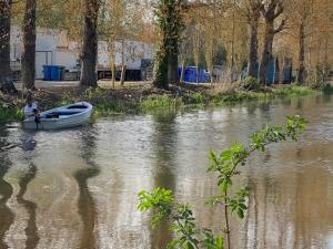 a man in a boat on a river at Broadwalk7 in Coltishall +7 photos