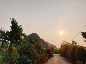 a dirt road with bushes and trees and the sun at Ninh Binh Green Farmstay in La Phù
