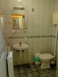 a bathroom with a toilet and a sink at Car Konaci in Smederevo