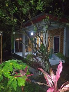 a house with a garden at night at Eltari Homestay in Tetebatu