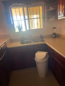 a kitchen with a sink and a trash can at room in 2bedroom apartment, white Sands, Bavaro in Punta Cana
