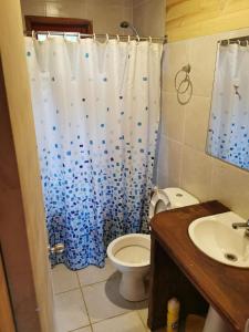 ein Badezimmer mit Toilette und Duschvorhang in der Unterkunft Cabaña Lago Villarrica ideal 2 familias in Villarrica