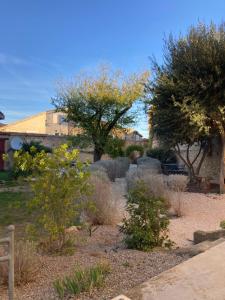 a garden with plants and trees in a yard at La Villa Celine in Saint-Laurent-de-la-Cabrerisse