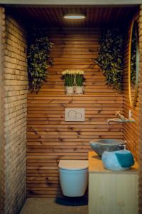 uma casa de banho com um WC e um lavatório em Wellness summa pace AERE em Berlare