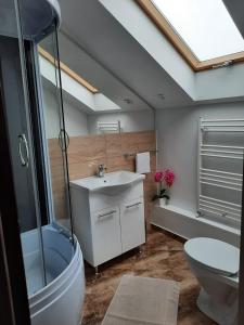 uma casa de banho com um lavatório, um chuveiro e um WC. em Casa Truța em Topliţa