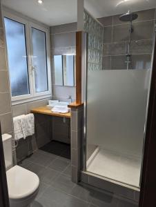a bathroom with a shower and a toilet and a sink at Hôtel de l'Ours in Arette