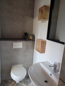 La salle de bains est pourvue de toilettes blanches et d'un lavabo. dans l'établissement Het Wit Huys, à Born