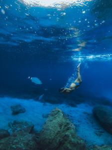 サン・ホセにある7Pines Resort Ibiza, part of Destination by Hyattの魚と海水浴をしている女