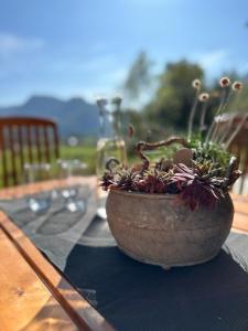 Landl的住宿－Ferienhaus sHäuserl，坐在桌子上的一个盆栽植物
