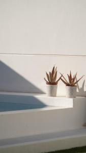 Fotografie z fotogalerie ubytování Villa Sol Fuerteventura v destinaci La Oliva