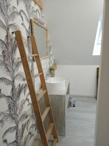 een badkamer met een ladder en een wastafel bij appart 2 chambres in Noyen-sur-Sarthe