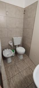 ein Bad mit einem WC und einem Waschbecken in der Unterkunft Departamento muy confortable (monoambiente) 2 personas in Viedma