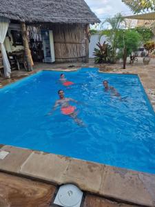 a group of people swimming in a blue swimming pool at Villa Kirumi in Nungwi