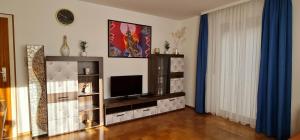 TV a/nebo společenská místnost v ubytování Nomadengold