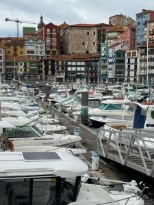 Un montón de barcos atracados en un puerto con edificios en ISTUA - Etxie La Casa, en Bermeo