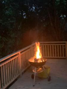 a grill with a fire in front of a fence at Nature's Valley Health Retreat A Hide away in the Forest in Natureʼs Valley