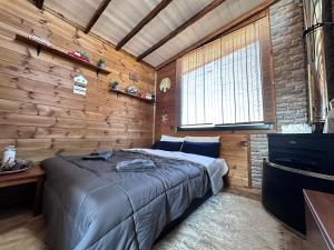 een slaapkamer met een bed en een houten muur bij Avra Wooden House in Drama