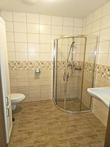e bagno con doccia, servizi igienici e lavandino. di Apartmány Řezáč a Rokytnice nad Jizerou