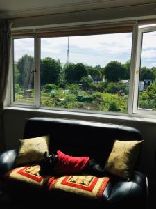 a couch with a pillow on it in front of a window at Single chic room with beautiful landscape and garden view in Sydenham