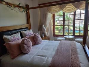 1 dormitorio con 1 cama grande con almohadas rosas en Forest Dream House en Kloof