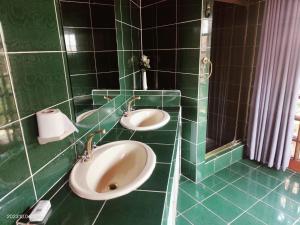a green tiled bathroom with two sinks and a mirror at GREEN TREE in Mtubatuba