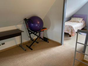 um quarto com uma bola de exercício numa bancada ao lado de uma cama em Casa del Arce em Puerto Varas