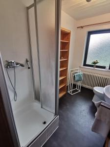 a bathroom with a shower and a toilet at Ferienwohnung am Sonnenberg in Hammelbach